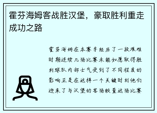 霍芬海姆客战胜汉堡，豪取胜利重走成功之路