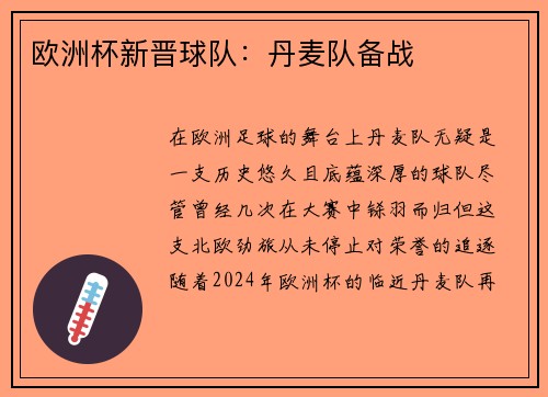 欧洲杯新晋球队：丹麦队备战